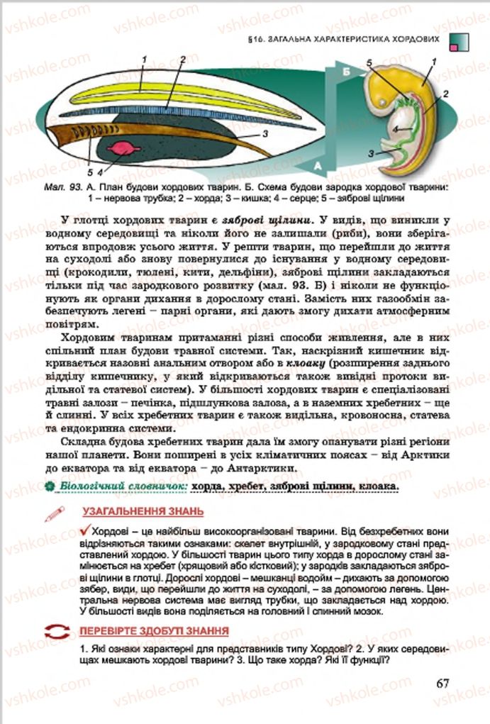 Страница 67 | Підручник Біологія 7 клас  Л.І. Остапченко, П.Г. Балан, В.В. Серебряков 2015
