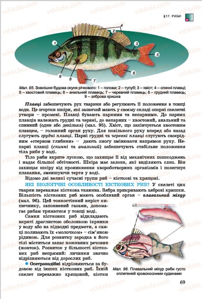 Страница 69 | Підручник Біологія 7 клас  Л.І. Остапченко, П.Г. Балан, В.В. Серебряков 2015