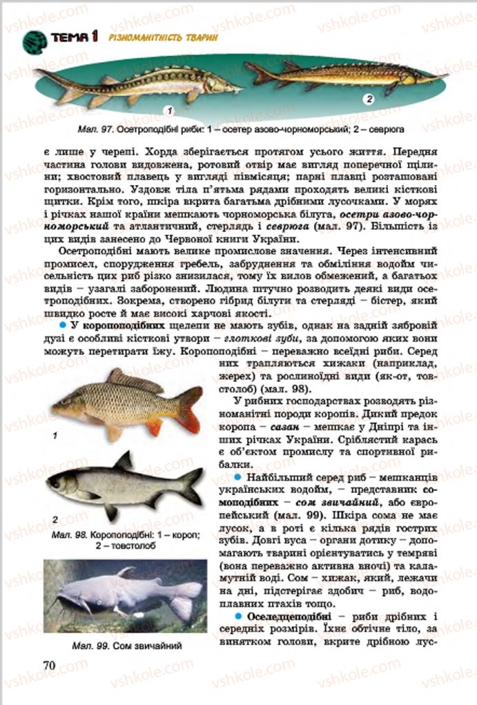 Страница 70 | Підручник Біологія 7 клас  Л.І. Остапченко, П.Г. Балан, В.В. Серебряков 2015