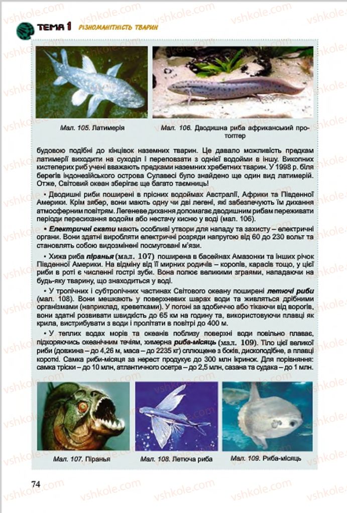 Страница 74 | Підручник Біологія 7 клас  Л.І. Остапченко, П.Г. Балан, В.В. Серебряков 2015