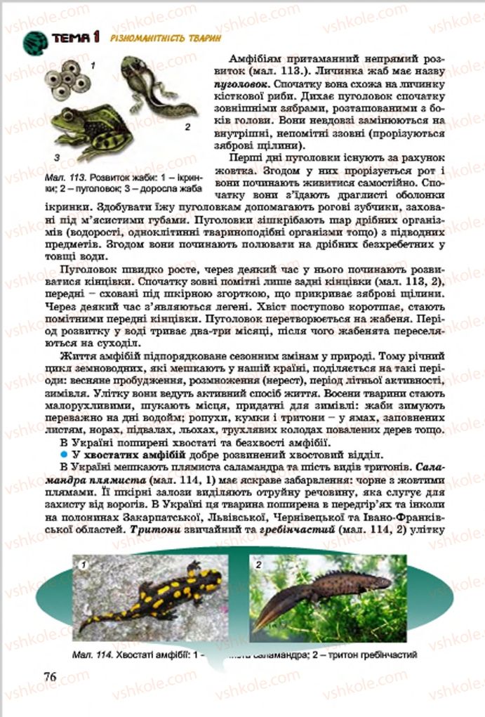 Страница 76 | Підручник Біологія 7 клас  Л.І. Остапченко, П.Г. Балан, В.В. Серебряков 2015