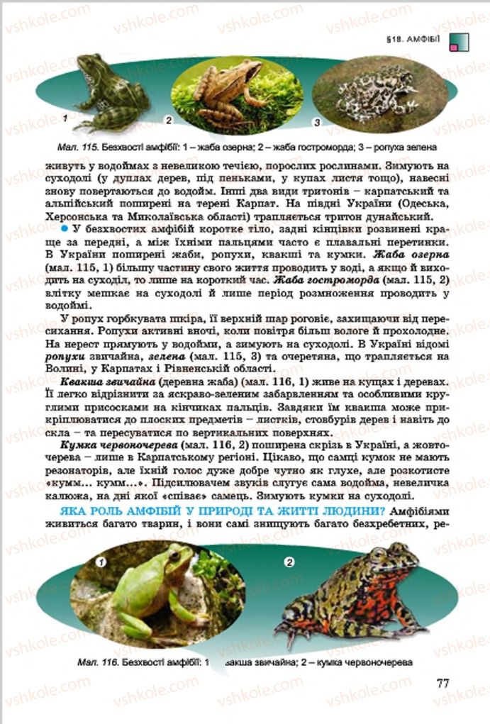 Страница 77 | Підручник Біологія 7 клас  Л.І. Остапченко, П.Г. Балан, В.В. Серебряков 2015