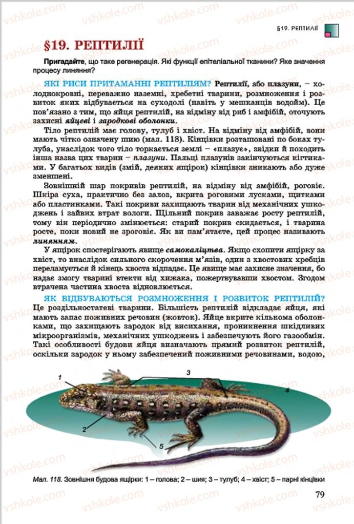 Страница 79 | Підручник Біологія 7 клас  Л.І. Остапченко, П.Г. Балан, В.В. Серебряков 2015