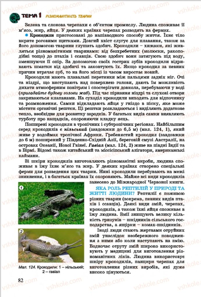 Страница 82 | Підручник Біологія 7 клас  Л.І. Остапченко, П.Г. Балан, В.В. Серебряков 2015