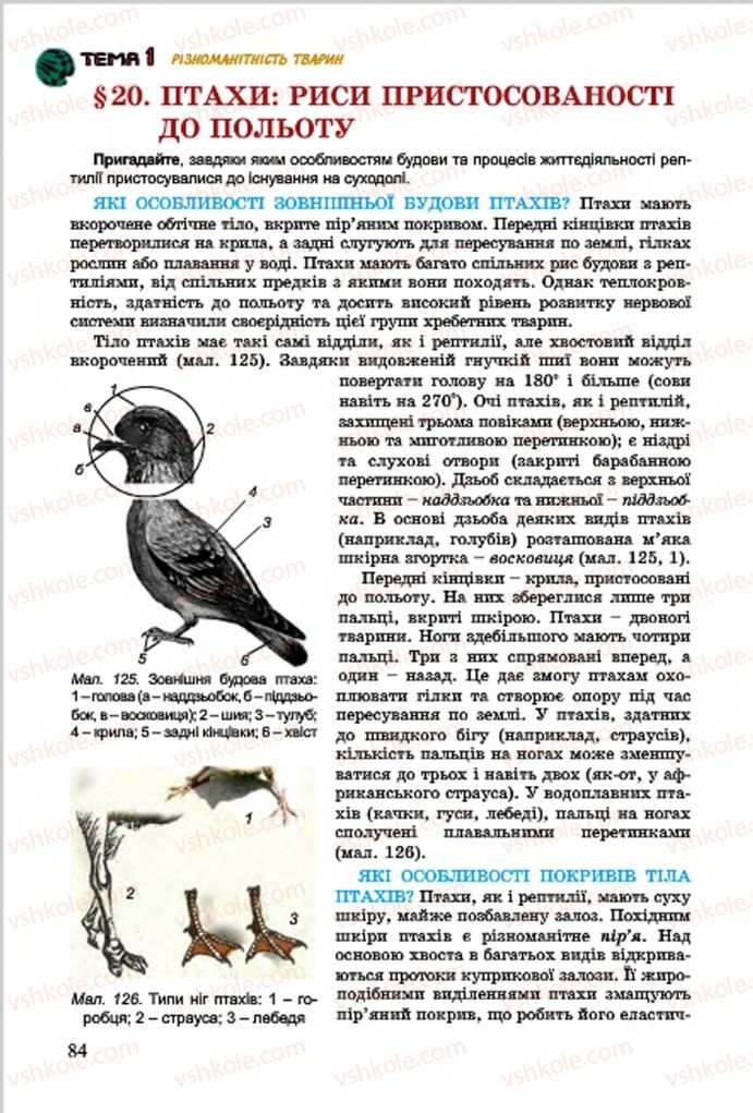 Страница 84 | Підручник Біологія 7 клас  Л.І. Остапченко, П.Г. Балан, В.В. Серебряков 2015