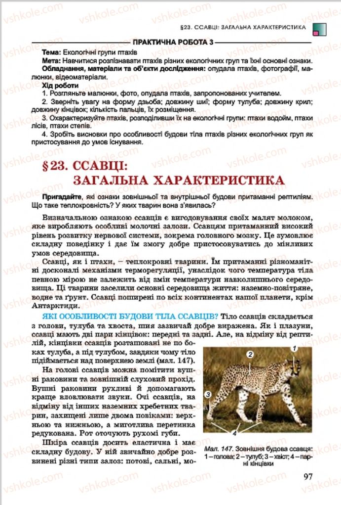 Страница 97 | Підручник Біологія 7 клас  Л.І. Остапченко, П.Г. Балан, В.В. Серебряков 2015