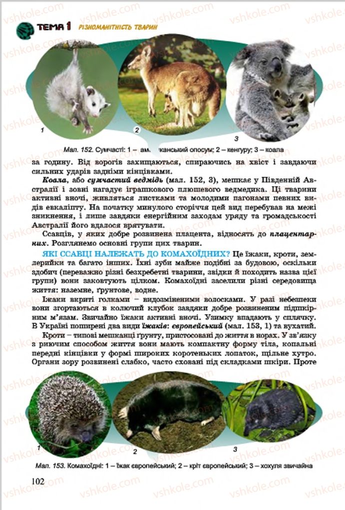 Страница 102 | Підручник Біологія 7 клас  Л.І. Остапченко, П.Г. Балан, В.В. Серебряков 2015
