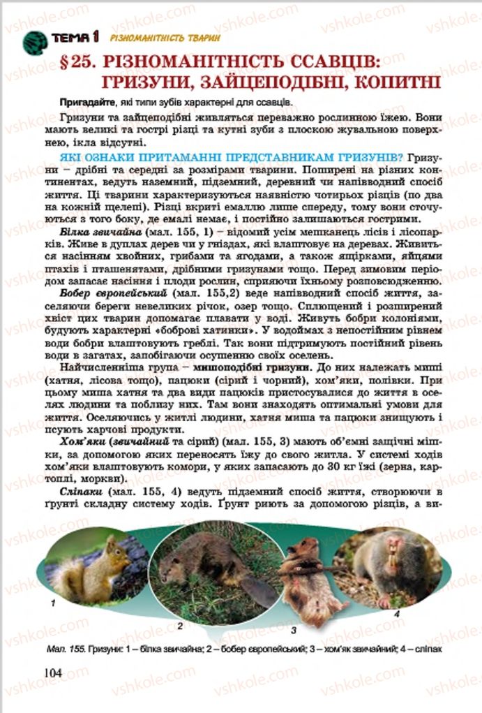 Страница 104 | Підручник Біологія 7 клас  Л.І. Остапченко, П.Г. Балан, В.В. Серебряков 2015