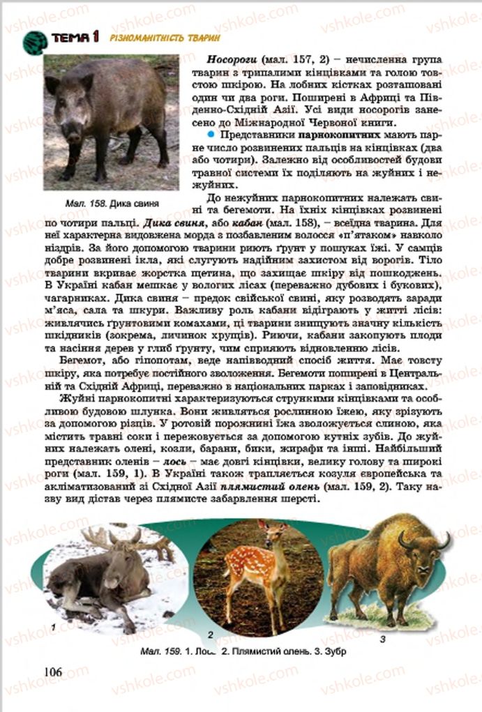 Страница 106 | Підручник Біологія 7 клас  Л.І. Остапченко, П.Г. Балан, В.В. Серебряков 2015
