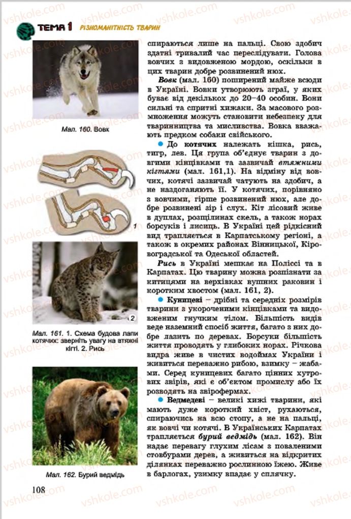 Страница 108 | Підручник Біологія 7 клас  Л.І. Остапченко, П.Г. Балан, В.В. Серебряков 2015