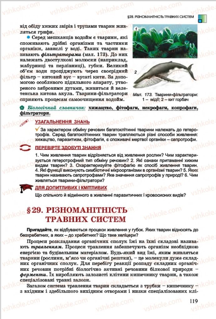 Страница 119 | Підручник Біологія 7 клас  Л.І. Остапченко, П.Г. Балан, В.В. Серебряков 2015