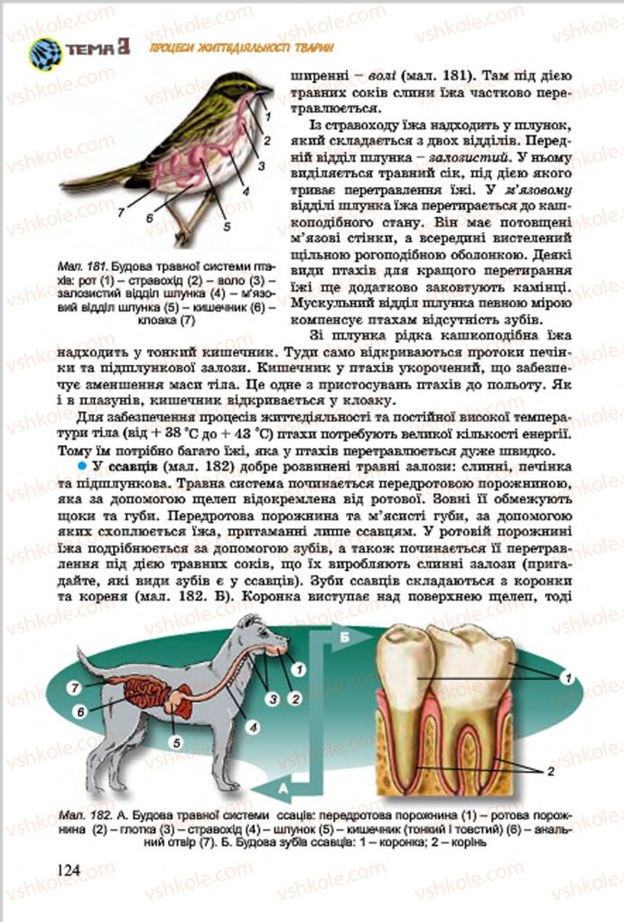 Страница 124 | Підручник Біологія 7 клас  Л.І. Остапченко, П.Г. Балан, В.В. Серебряков 2015