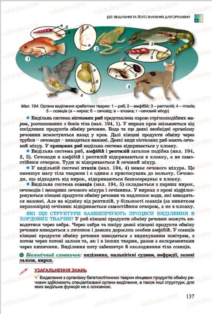 Страница 137 | Підручник Біологія 7 клас  Л.І. Остапченко, П.Г. Балан, В.В. Серебряков 2015