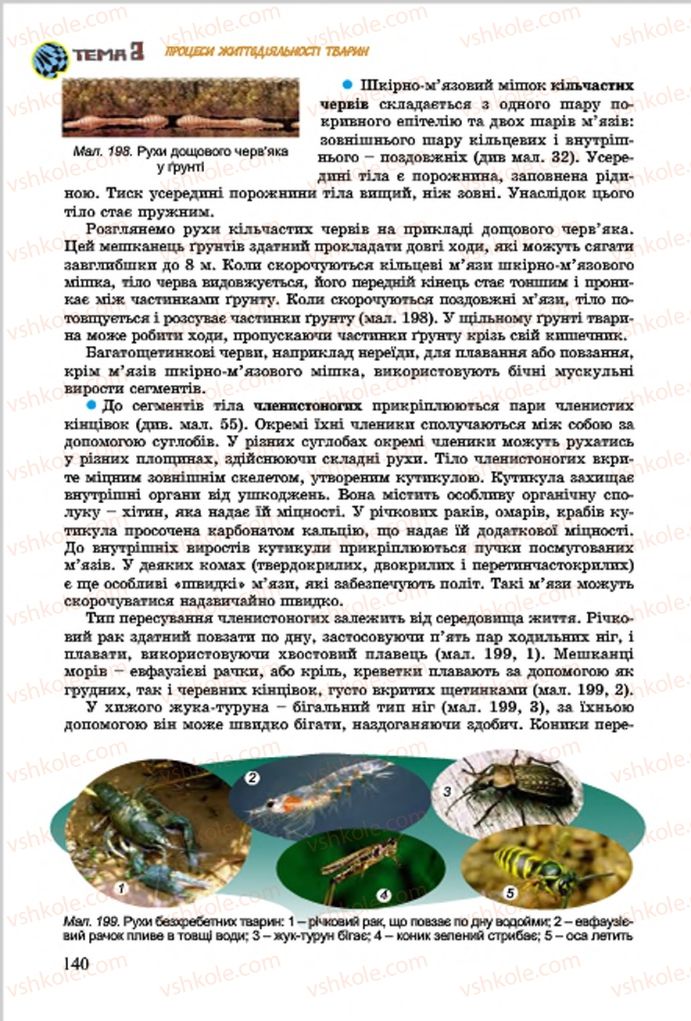 Страница 140 | Підручник Біологія 7 клас  Л.І. Остапченко, П.Г. Балан, В.В. Серебряков 2015