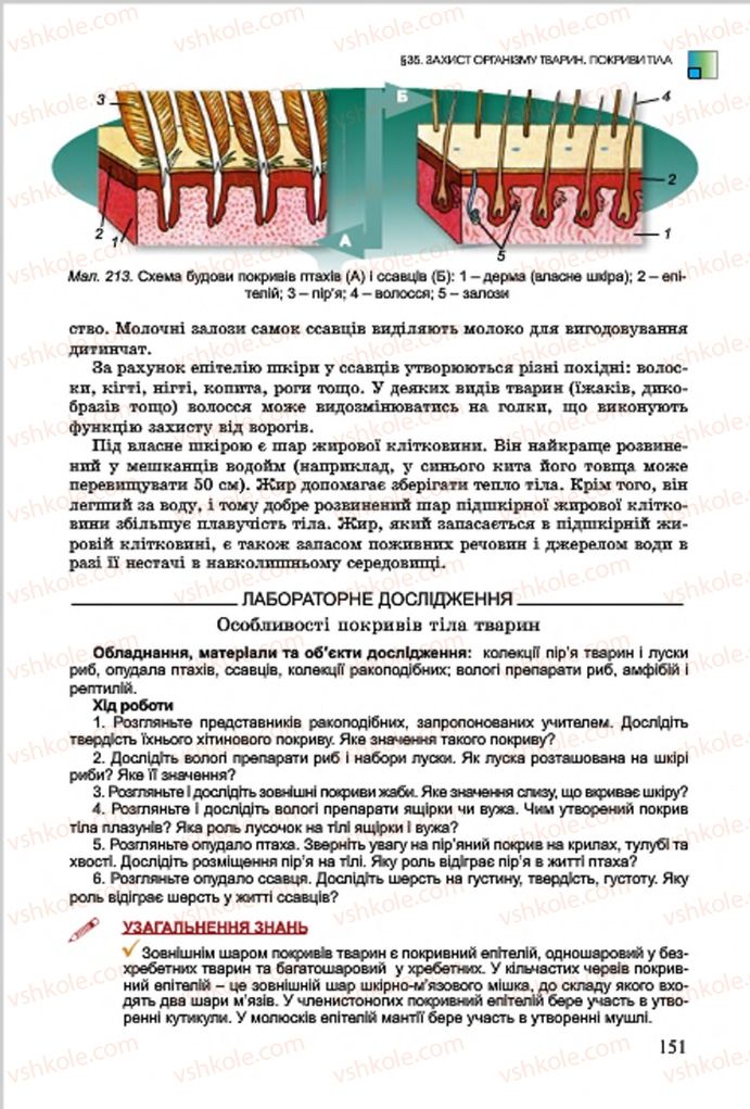 Страница 151 | Підручник Біологія 7 клас  Л.І. Остапченко, П.Г. Балан, В.В. Серебряков 2015