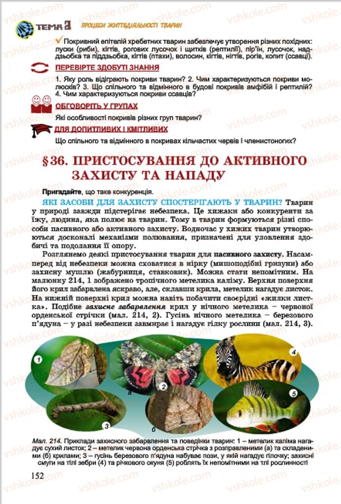 Страница 152 | Підручник Біологія 7 клас  Л.І. Остапченко, П.Г. Балан, В.В. Серебряков 2015