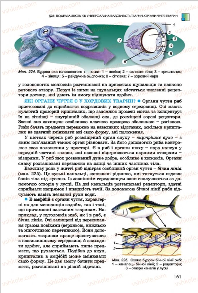 Страница 161 | Підручник Біологія 7 клас  Л.І. Остапченко, П.Г. Балан, В.В. Серебряков 2015