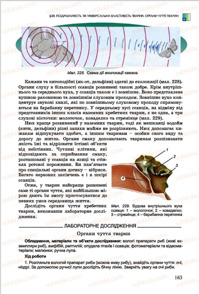 Страница 163 | Підручник Біологія 7 клас  Л.І. Остапченко, П.Г. Балан, В.В. Серебряков 2015