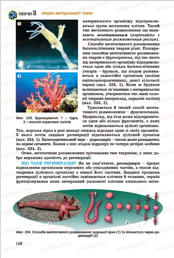 Страница 168 | Підручник Біологія 7 клас  Л.І. Остапченко, П.Г. Балан, В.В. Серебряков 2015