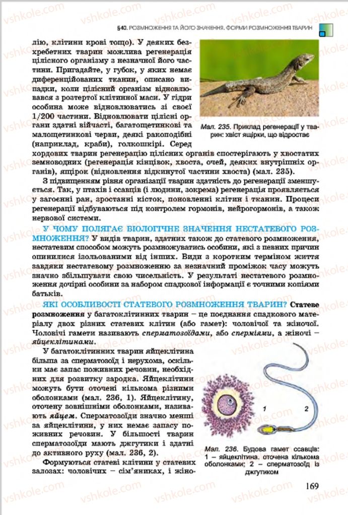 Страница 169 | Підручник Біологія 7 клас  Л.І. Остапченко, П.Г. Балан, В.В. Серебряков 2015