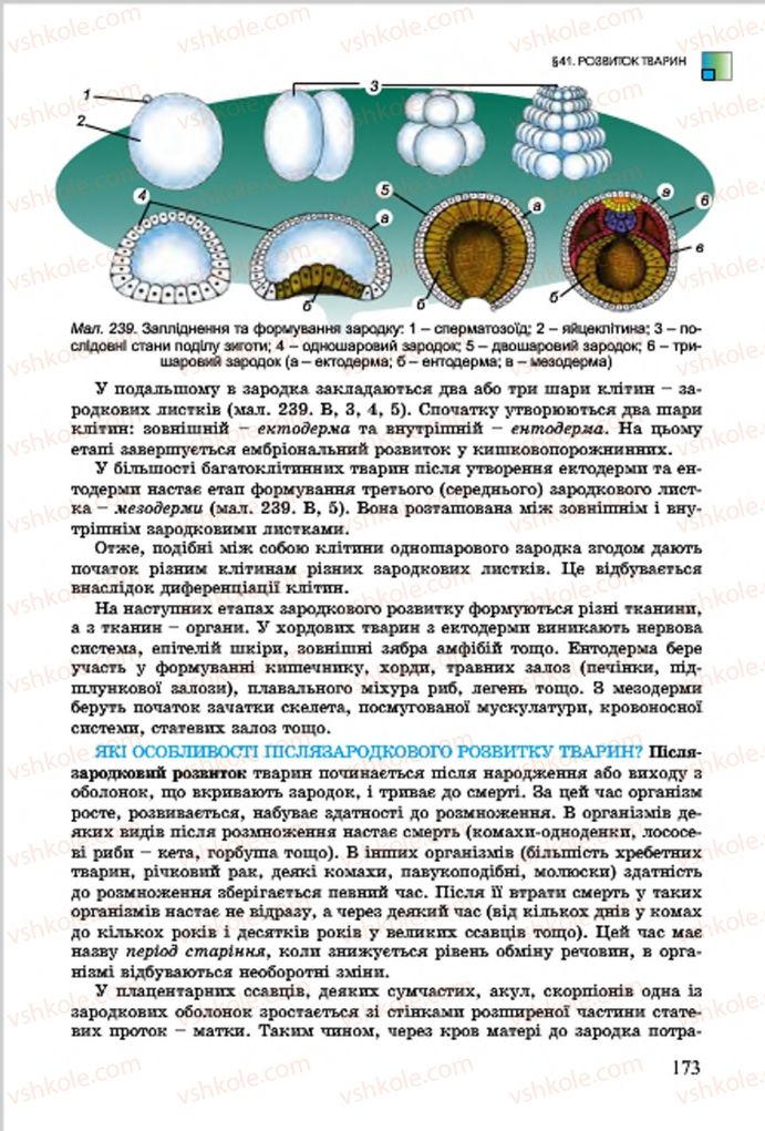 Страница 173 | Підручник Біологія 7 клас  Л.І. Остапченко, П.Г. Балан, В.В. Серебряков 2015