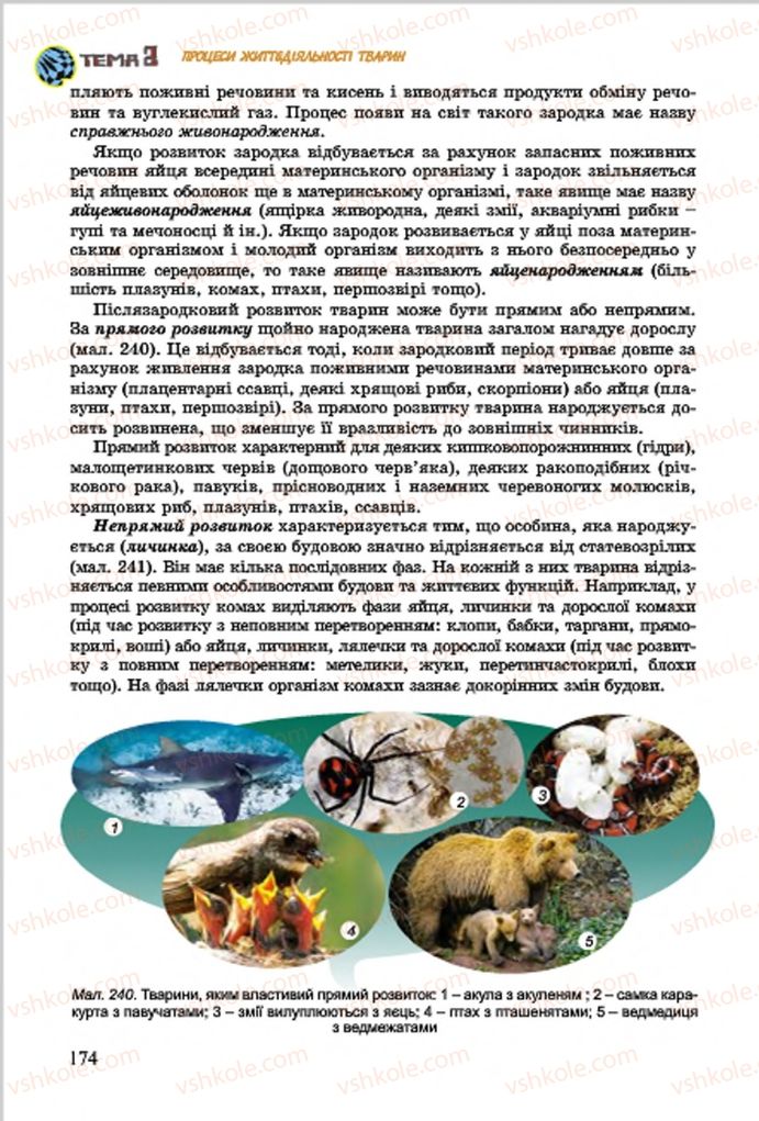 Страница 174 | Підручник Біологія 7 клас  Л.І. Остапченко, П.Г. Балан, В.В. Серебряков 2015