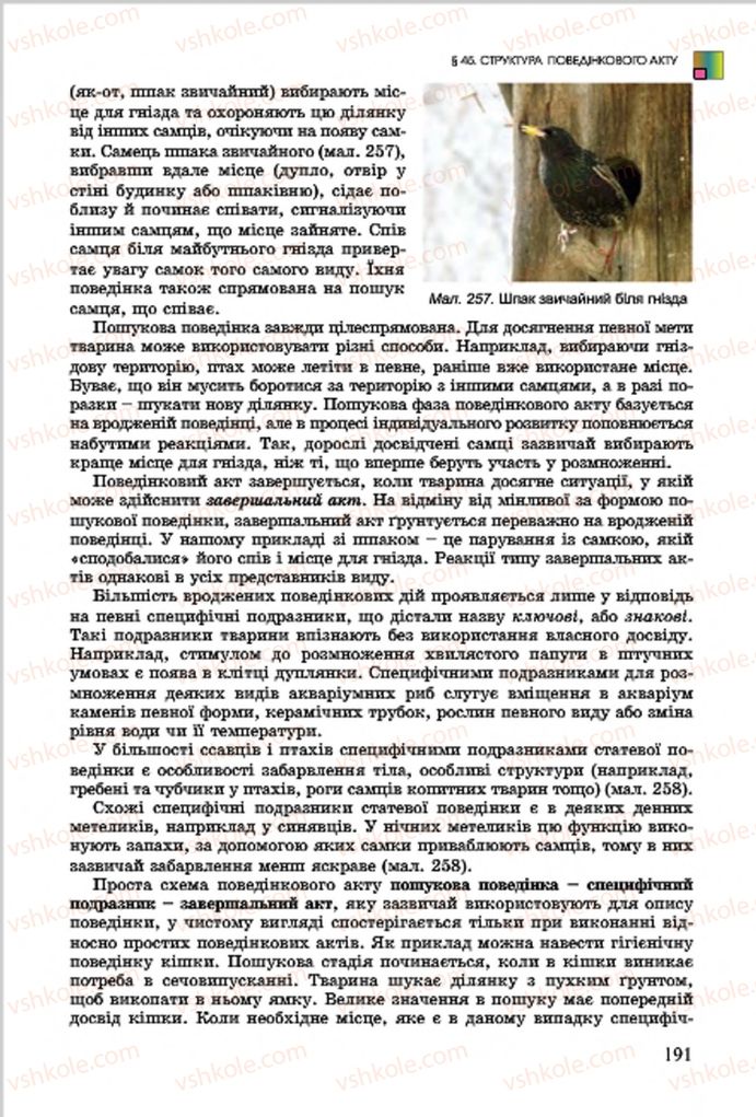 Страница 191 | Підручник Біологія 7 клас  Л.І. Остапченко, П.Г. Балан, В.В. Серебряков 2015