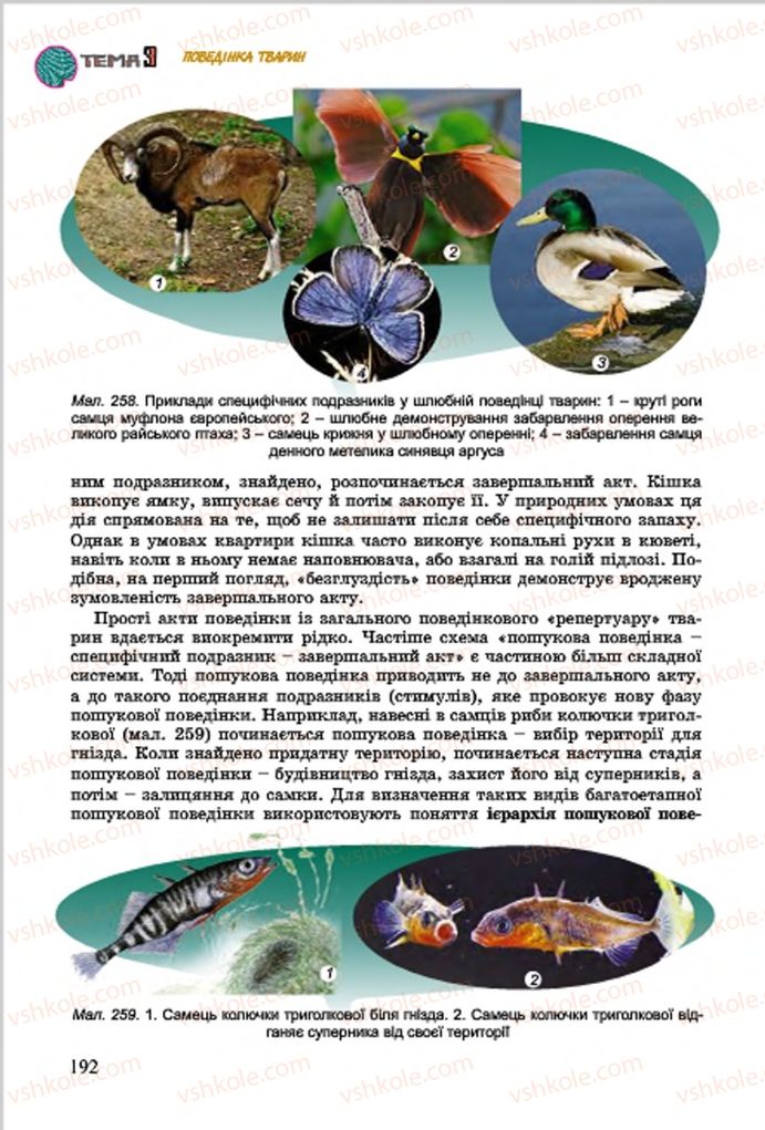 Страница 192 | Підручник Біологія 7 клас  Л.І. Остапченко, П.Г. Балан, В.В. Серебряков 2015