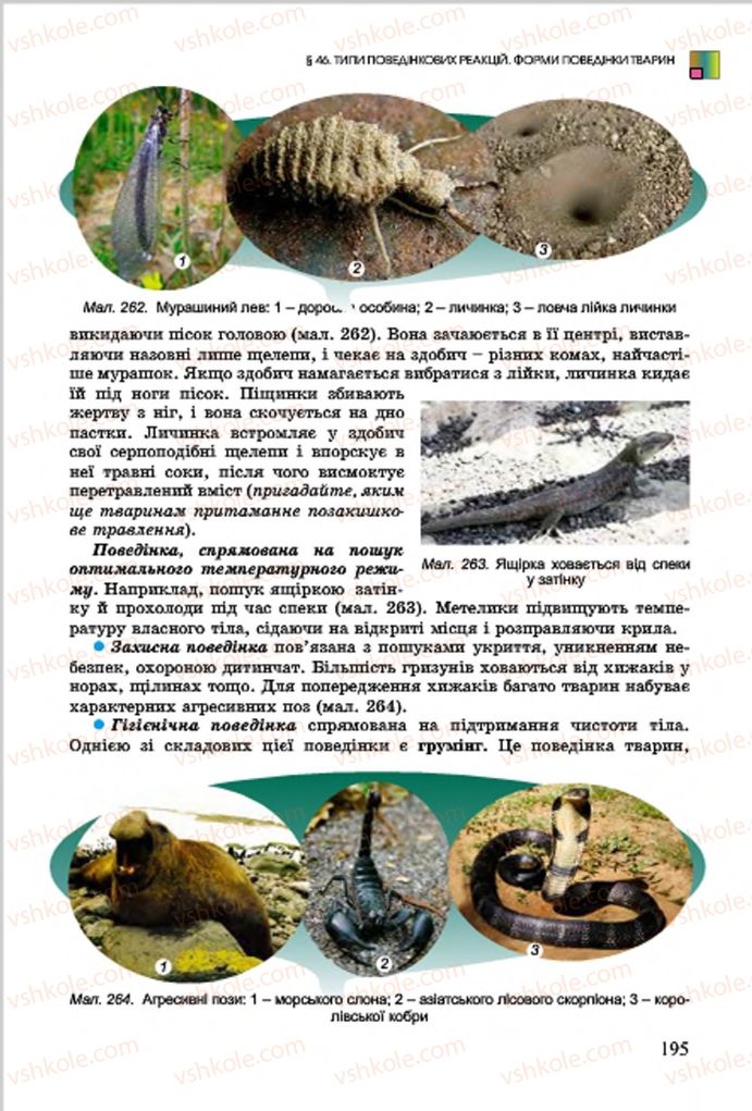 Страница 195 | Підручник Біологія 7 клас  Л.І. Остапченко, П.Г. Балан, В.В. Серебряков 2015
