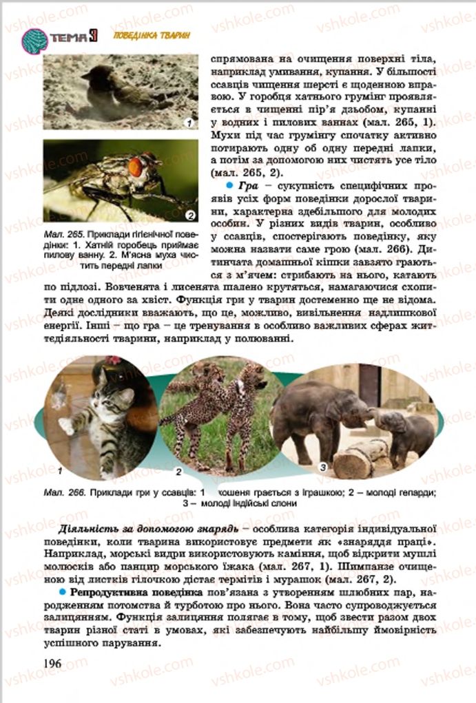 Страница 196 | Підручник Біологія 7 клас  Л.І. Остапченко, П.Г. Балан, В.В. Серебряков 2015