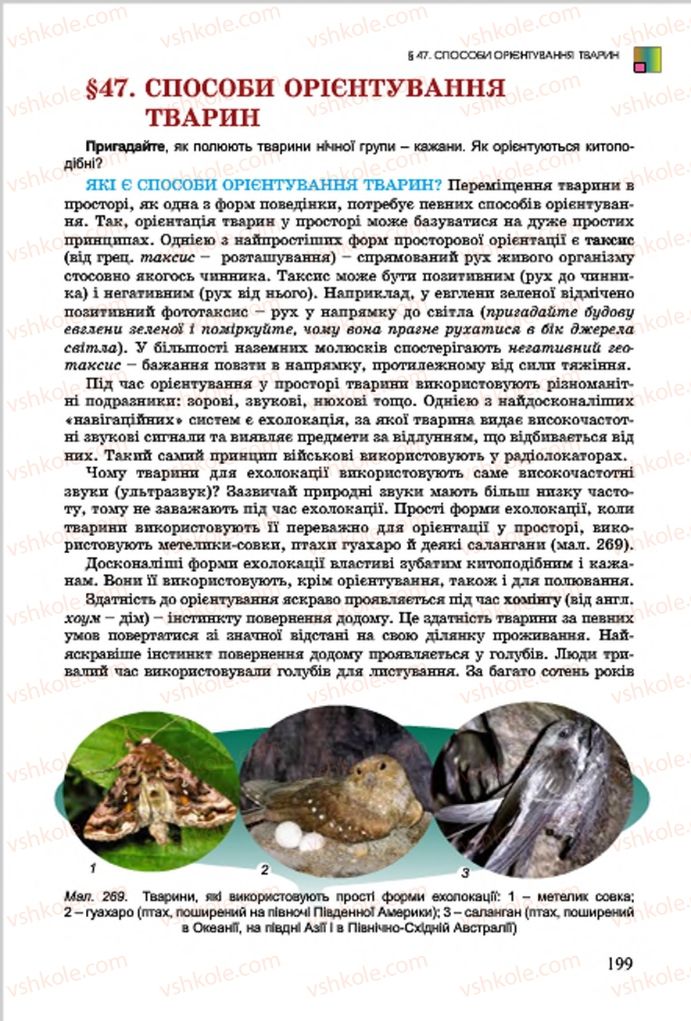 Страница 199 | Підручник Біологія 7 клас  Л.І. Остапченко, П.Г. Балан, В.В. Серебряков 2015