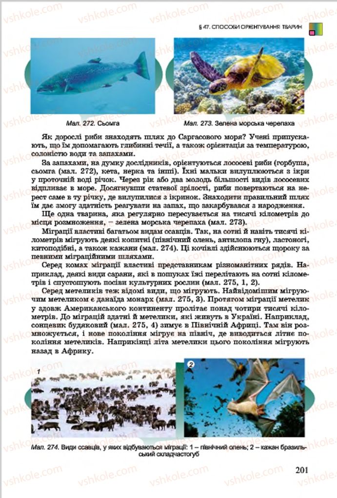 Страница 201 | Підручник Біологія 7 клас  Л.І. Остапченко, П.Г. Балан, В.В. Серебряков 2015