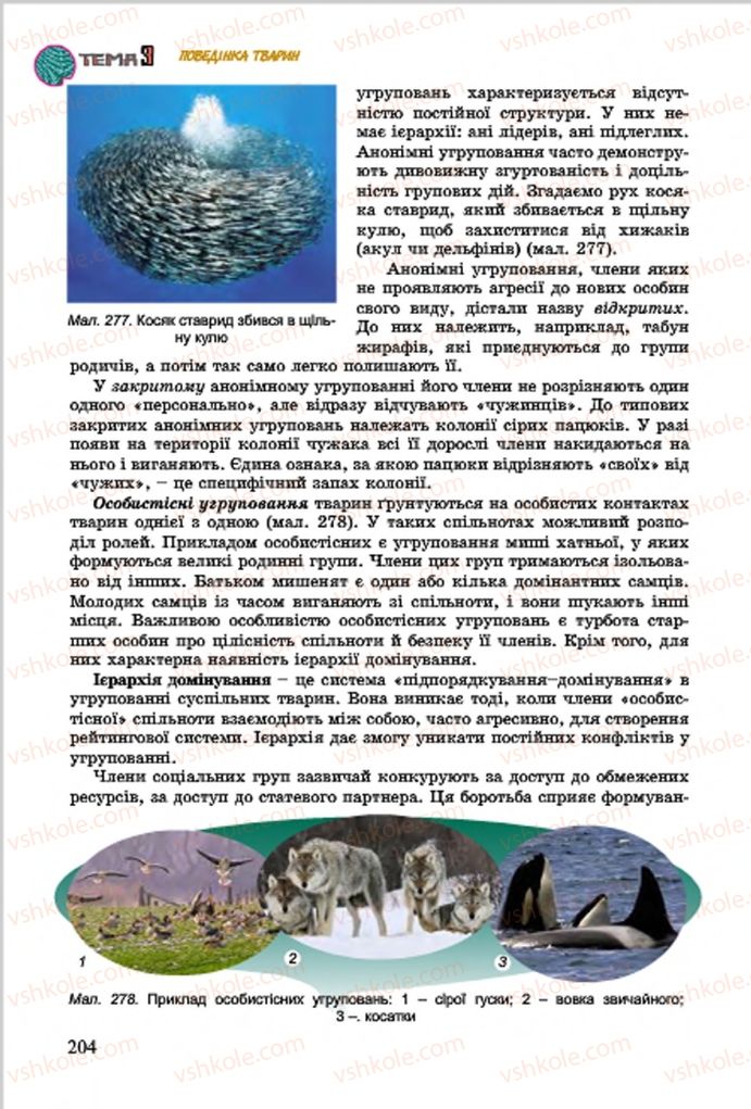 Страница 204 | Підручник Біологія 7 клас  Л.І. Остапченко, П.Г. Балан, В.В. Серебряков 2015