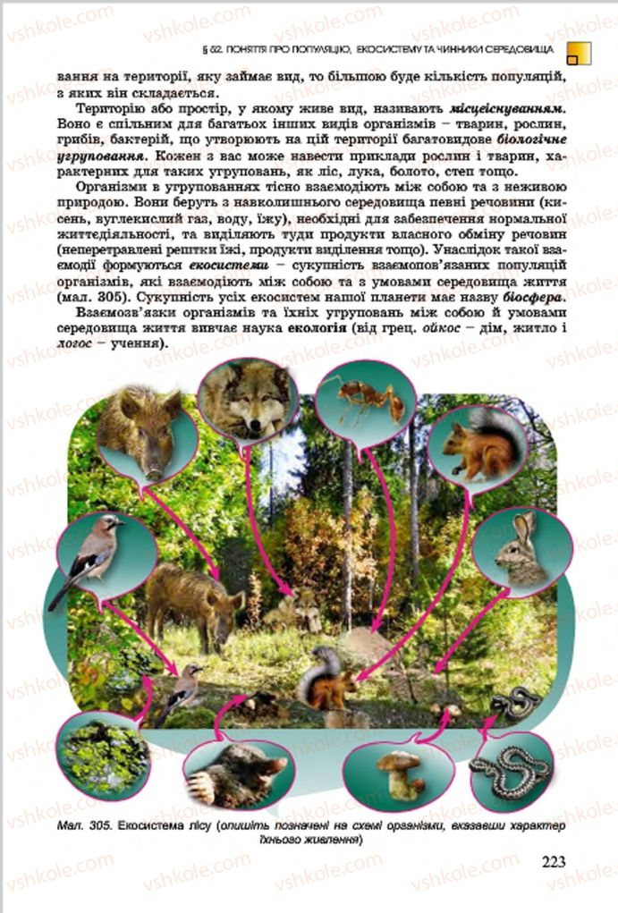 Страница 223 | Підручник Біологія 7 клас  Л.І. Остапченко, П.Г. Балан, В.В. Серебряков 2015