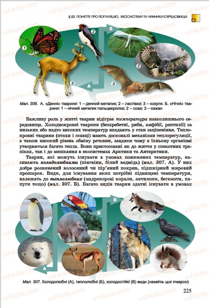 Страница 225 | Підручник Біологія 7 клас  Л.І. Остапченко, П.Г. Балан, В.В. Серебряков 2015