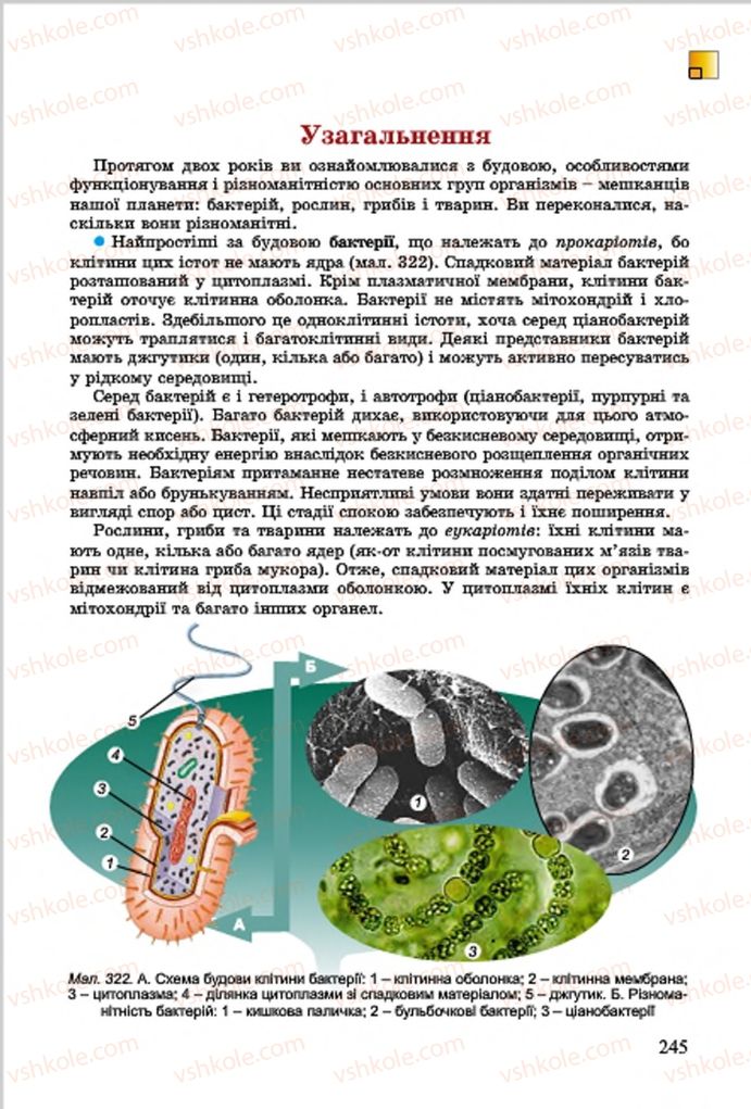 Страница 245 | Підручник Біологія 7 клас  Л.І. Остапченко, П.Г. Балан, В.В. Серебряков 2015