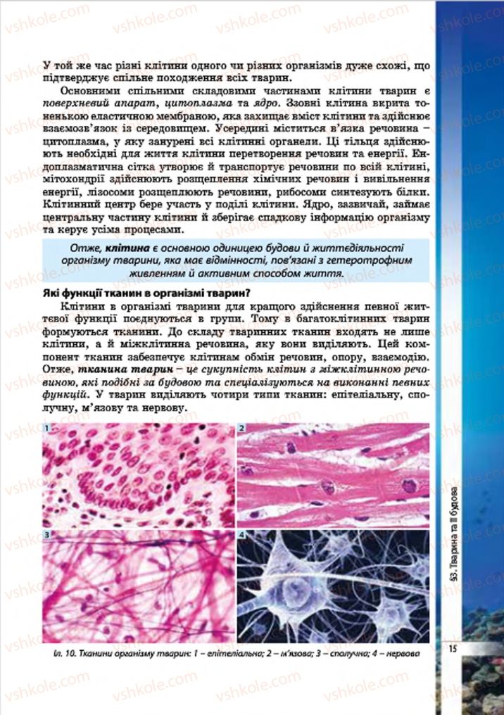 Страница 15 | Підручник Біологія 7 клас В.І. Соболь 2015