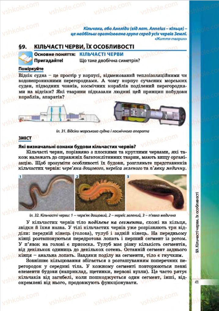 Страница 41 | Підручник Біологія 7 клас В.І. Соболь 2015