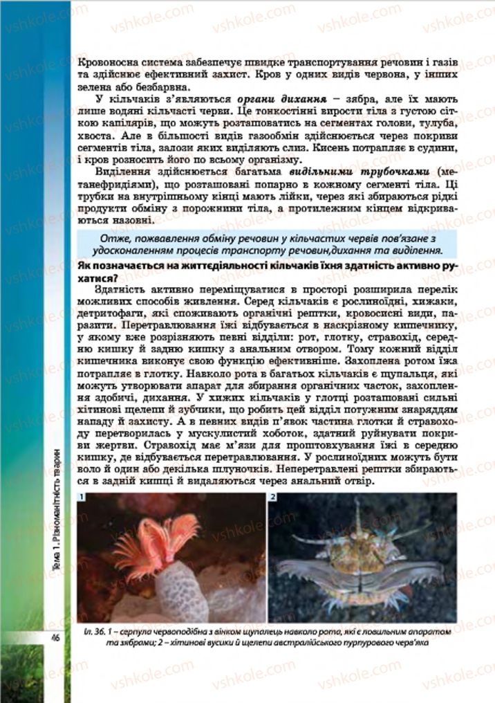 Страница 46 | Підручник Біологія 7 клас В.І. Соболь 2015