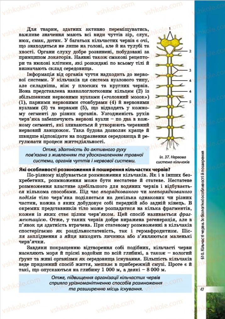 Страница 47 | Підручник Біологія 7 клас В.І. Соболь 2015