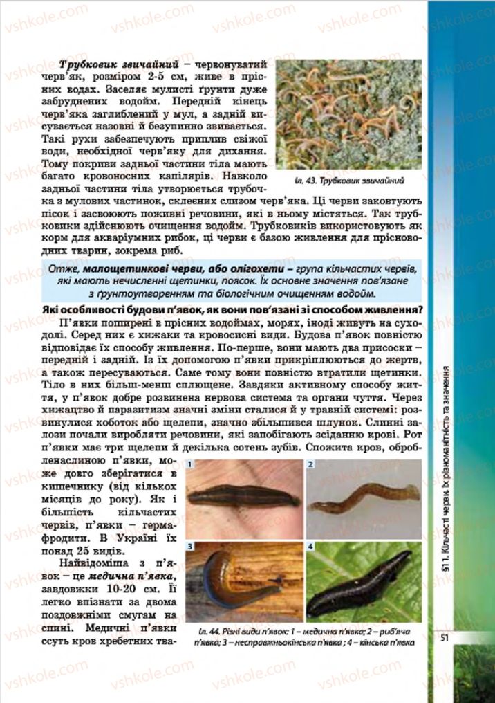 Страница 51 | Підручник Біологія 7 клас В.І. Соболь 2015
