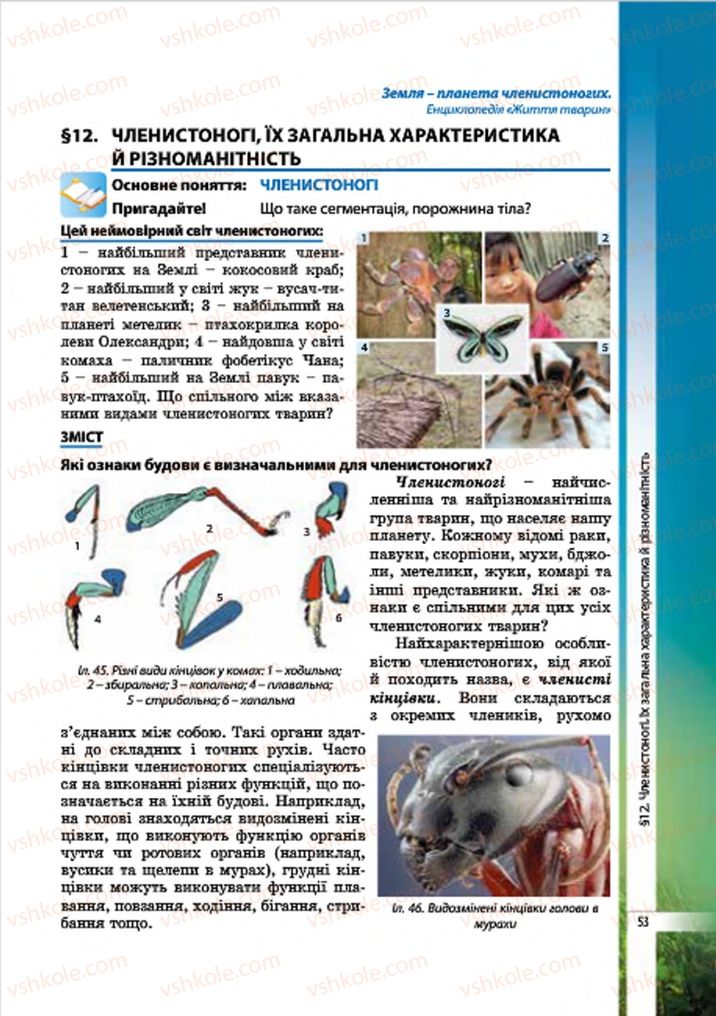Страница 53 | Підручник Біологія 7 клас В.І. Соболь 2015