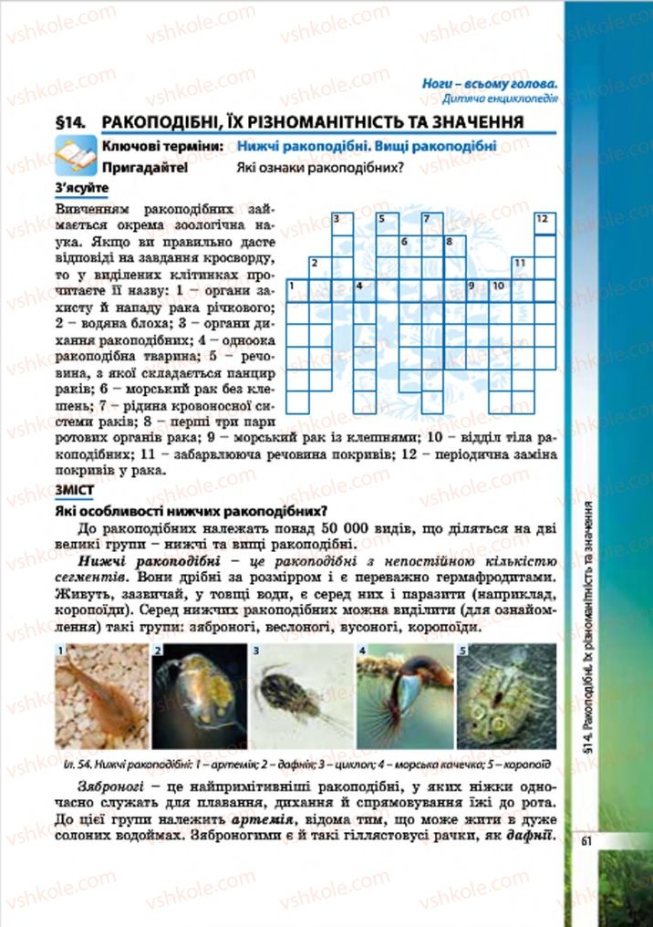 Страница 61 | Підручник Біологія 7 клас В.І. Соболь 2015