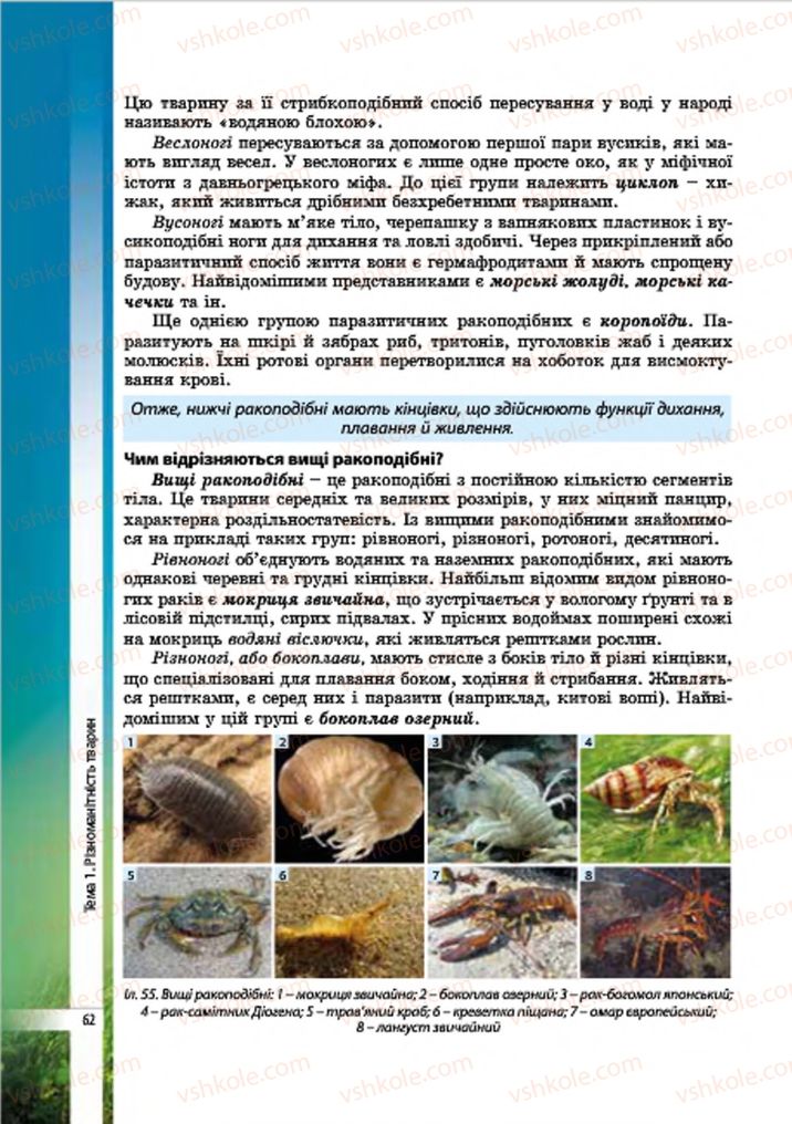 Страница 62 | Підручник Біологія 7 клас В.І. Соболь 2015