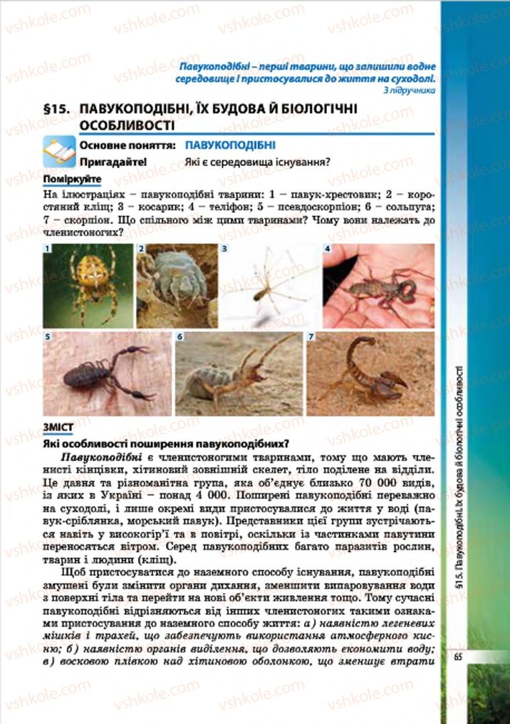 Страница 65 | Підручник Біологія 7 клас В.І. Соболь 2015