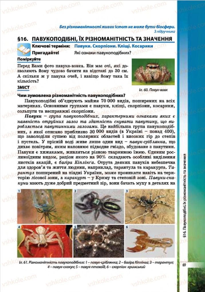 Страница 69 | Підручник Біологія 7 клас В.І. Соболь 2015