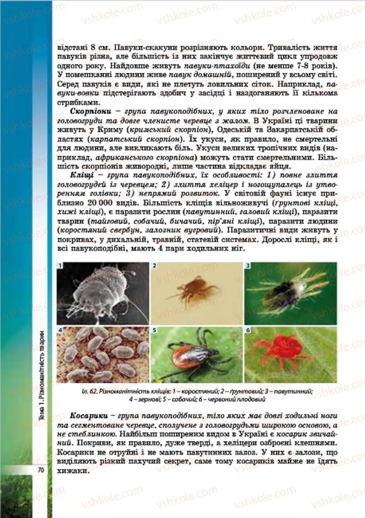 Страница 70 | Підручник Біологія 7 клас В.І. Соболь 2015
