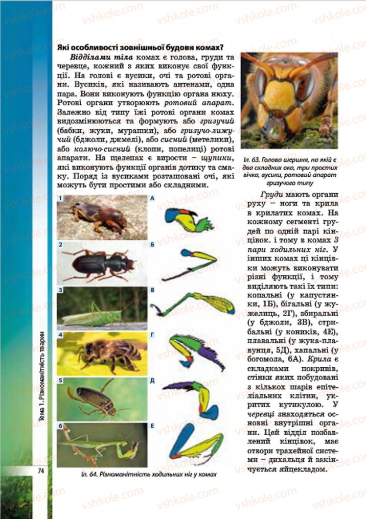 Страница 74 | Підручник Біологія 7 клас В.І. Соболь 2015