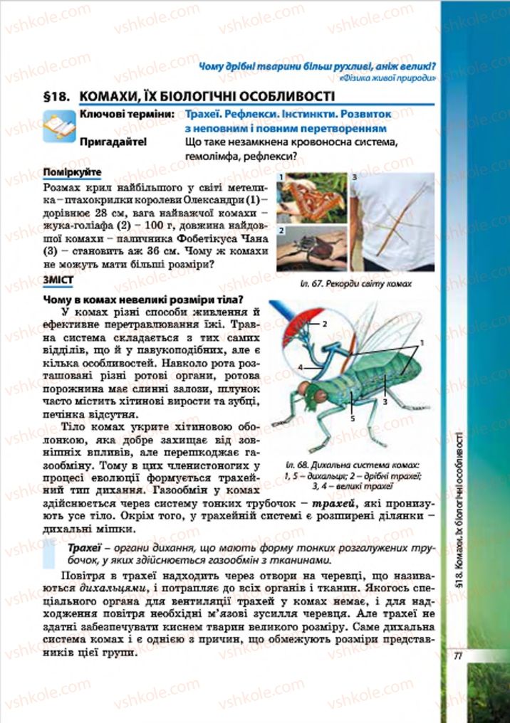 Страница 77 | Підручник Біологія 7 клас В.І. Соболь 2015