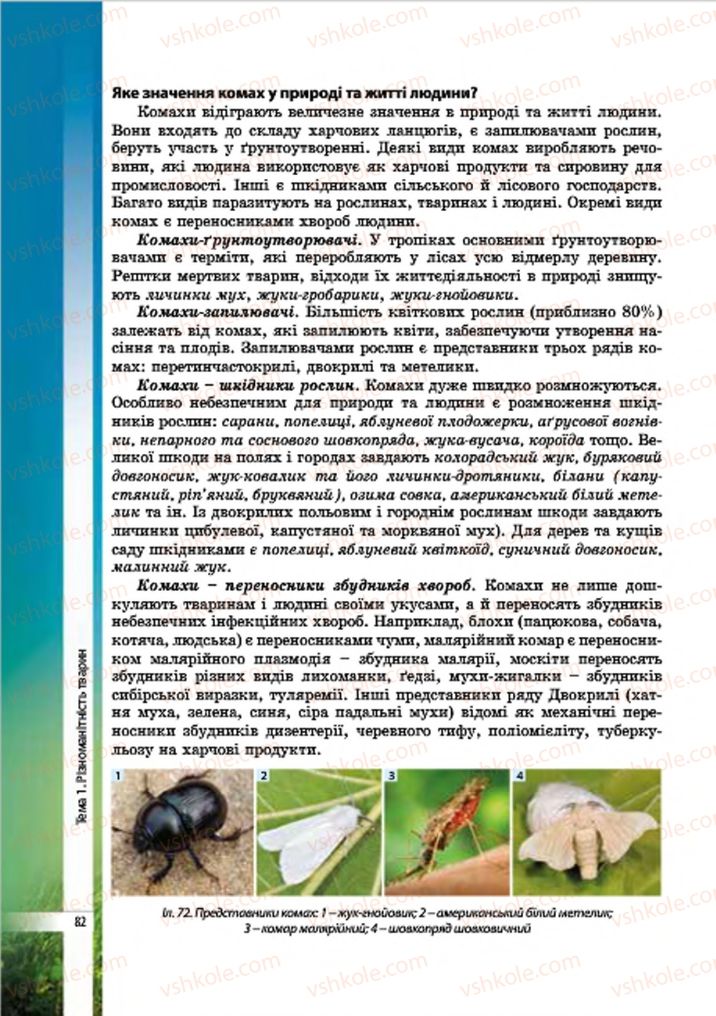Страница 82 | Підручник Біологія 7 клас В.І. Соболь 2015